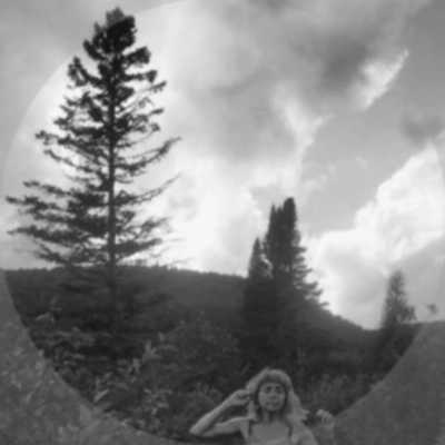 Viviane Lamy / Au sommet de la colline